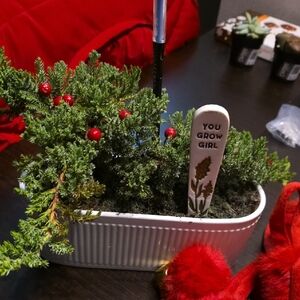 Festive Greenery Planter with Red Accents